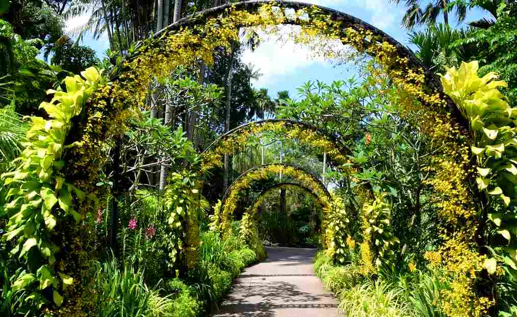 O lindo Jardim Botânico de Singapura